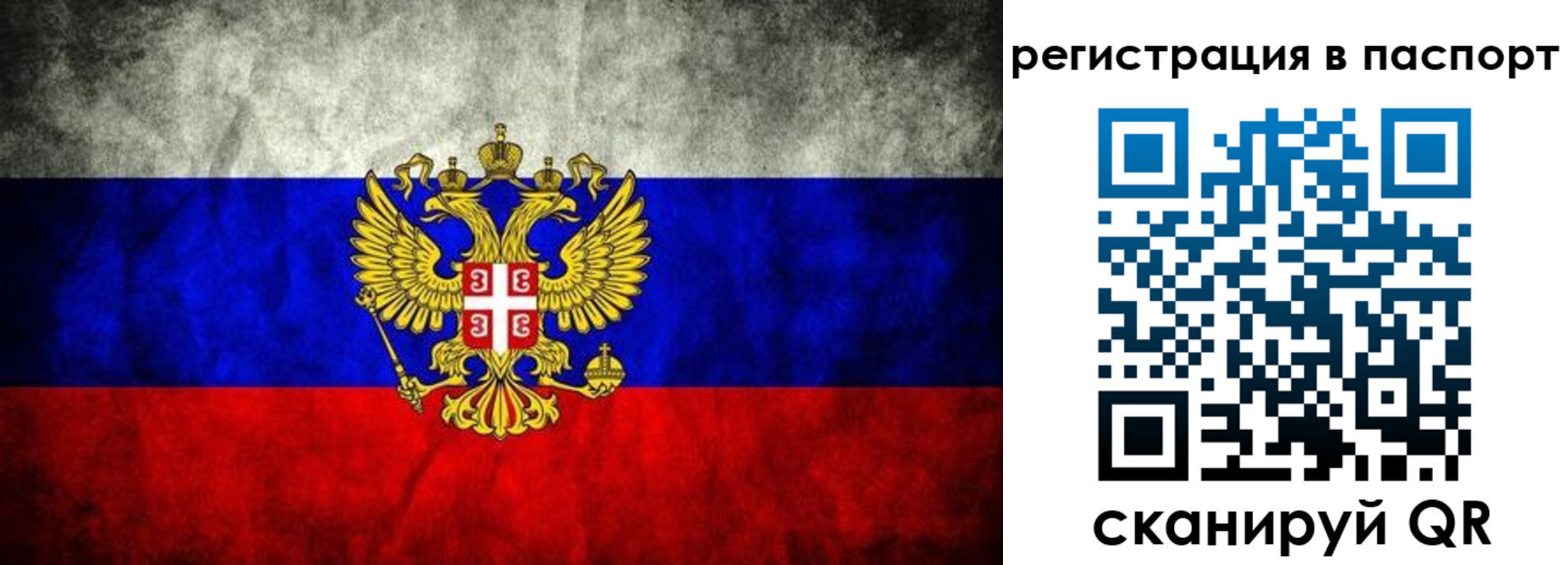 временная регистрация купить в Мариинском Посаде